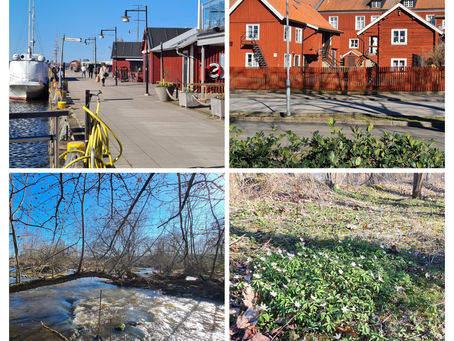 Mariestad: Cykeltur till Tidans kvillrar