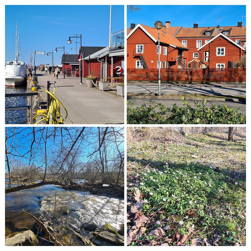 Mariestad: Cykeltur till Tidans kvillrar