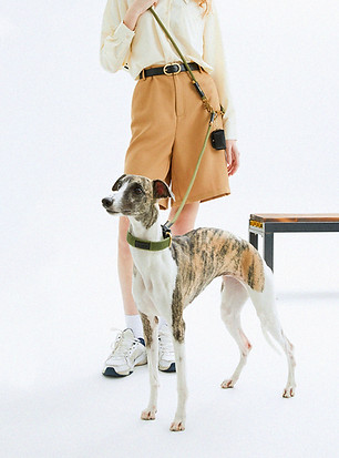 组 2.jpg