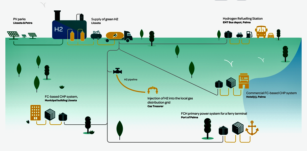 Project description of Green Hysland, Mallorca.