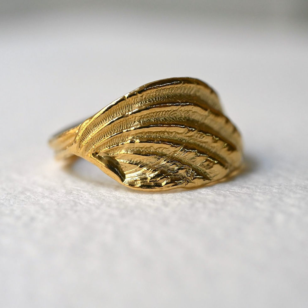 Miniaturbild: Sea Shell M – Ring