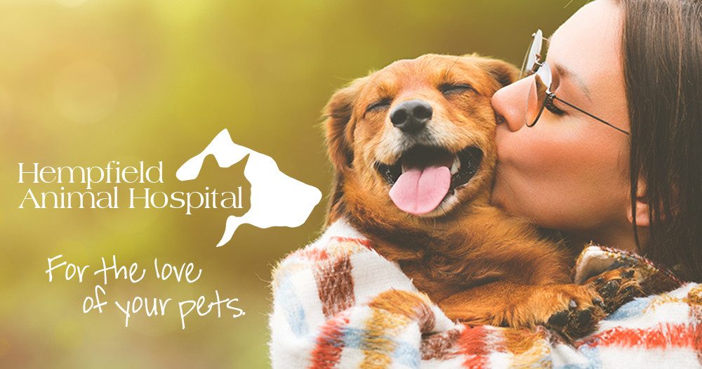 Hempfield Animal Hospital