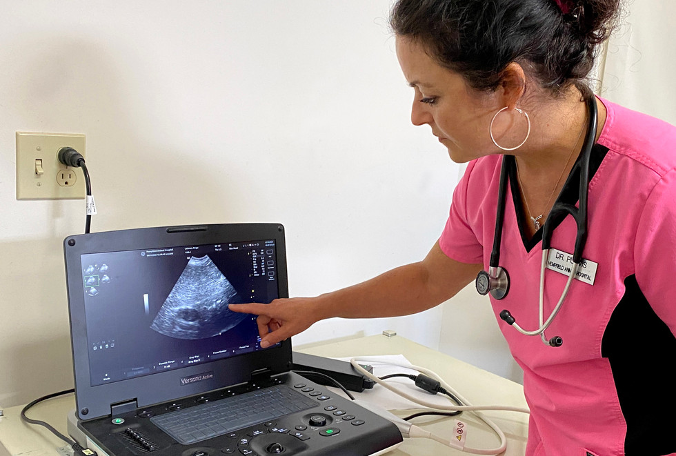 SERVICES Hempfield Animal Hospital Lancaster, PA