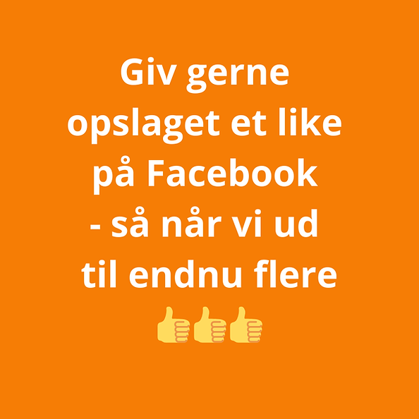 Nyt sommerhus Renovering af huset Vi er specialister i - 2025-09-25T101157.808.png