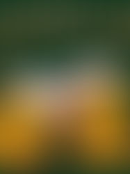 Einladung zum Bockbierfest