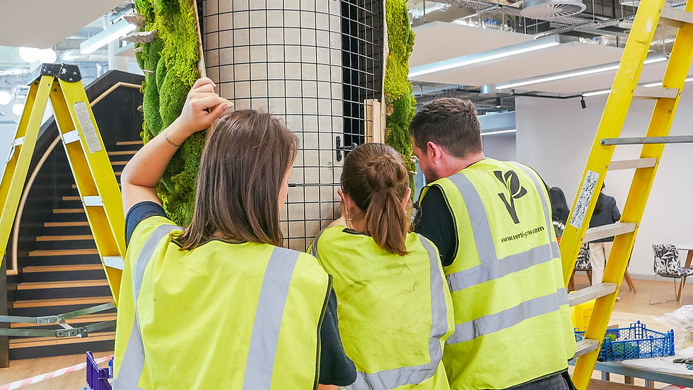 three people wrapping a column in a moss panel