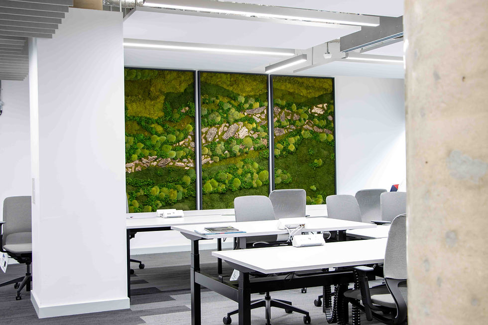 office with triptych wall art