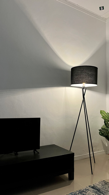 Living Room (3).HEIC