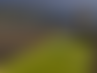 Canoa havaiana na Curva da Jurema durante o nascer do sol em Vitória ES