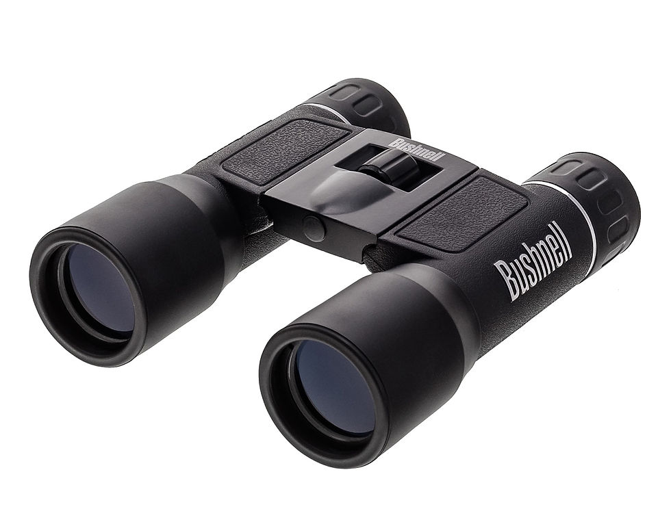 Бінокль Bushnell PowerView 10x32
