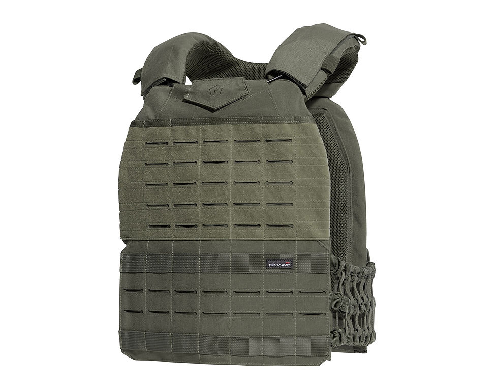 Тактичний жилет Pentagon Milon RAL7013