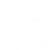 dance5_edited.png
