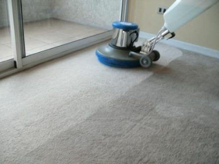 Remover manchas y pelaje de alfombra
