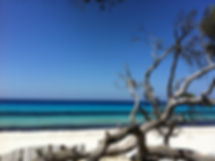 IMG_0914.jpeg