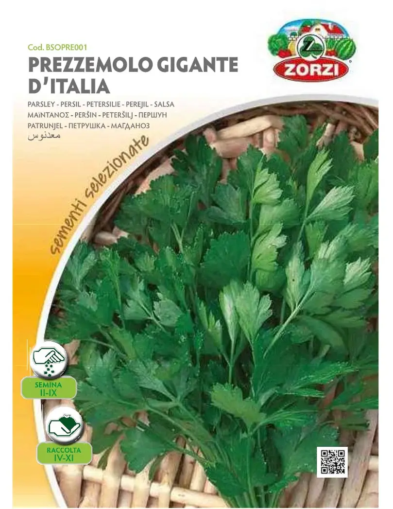 Bustina di semi Zorzi prezzemolo gigante d'Italia