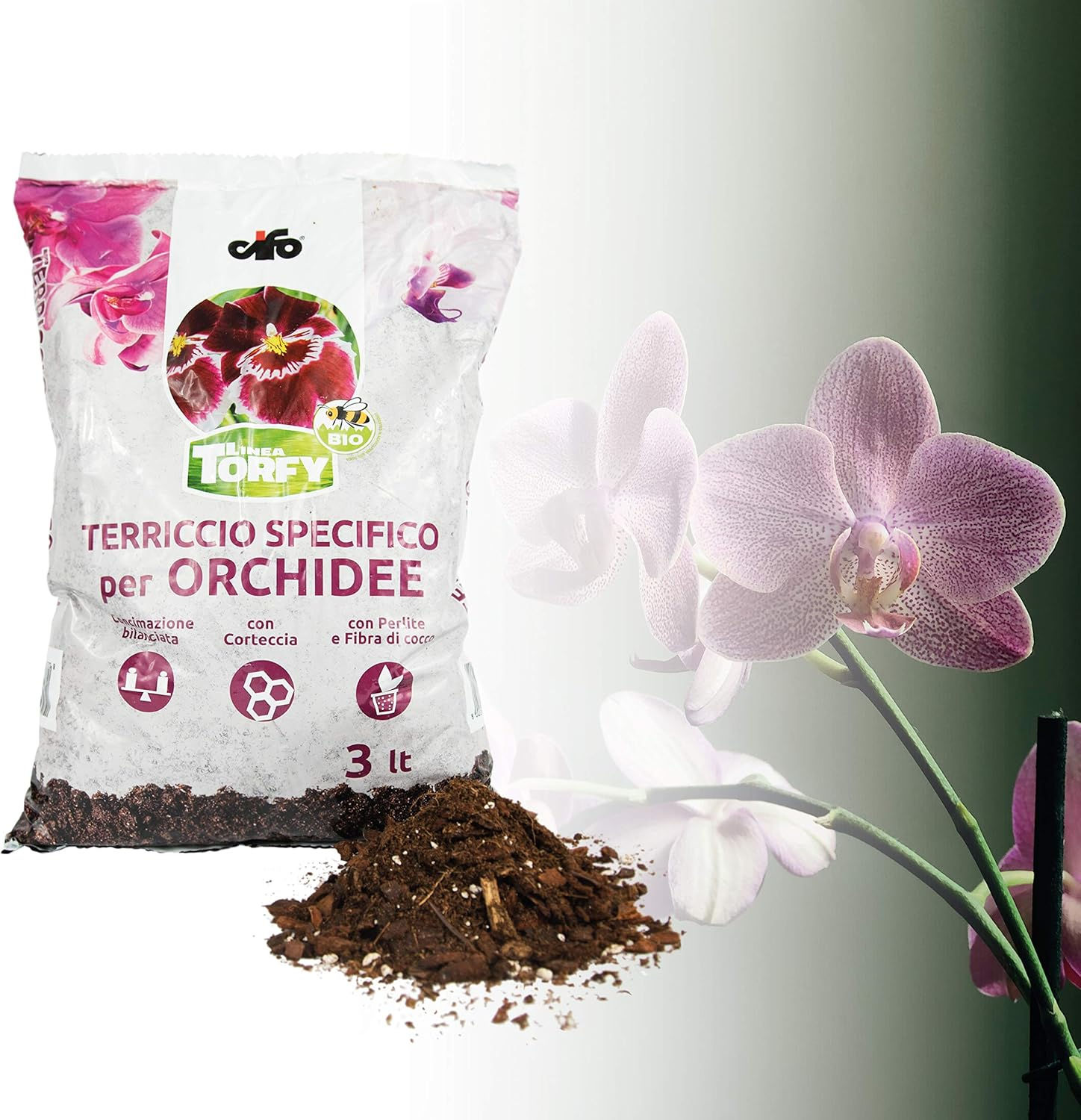 CIFO Torfy terriccio specifico per orchidee con substrato e orchidea in fiore
