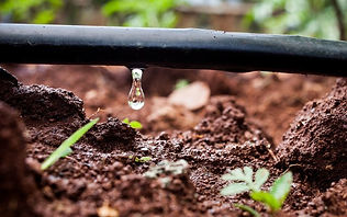 Irrigatore a sprinkler in funzione su prato verde per irrigazione agricola e del giardino