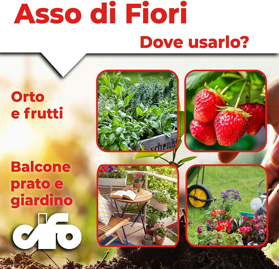 CIFO Asso di Fiori 1 kg concime in polvere solubile per piante verdi fiori ortaggi prato e frutticole