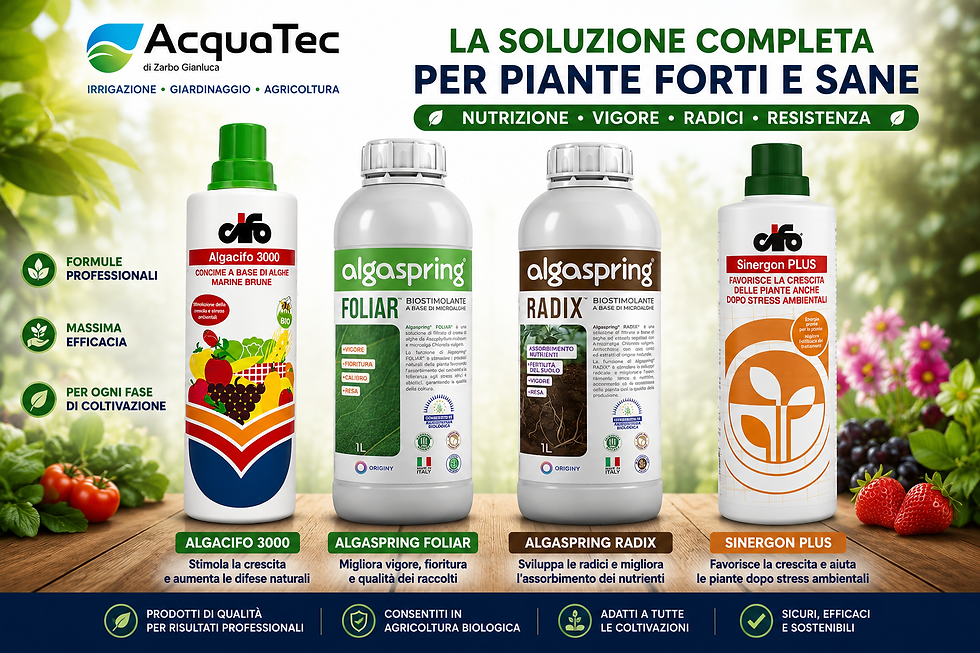 Biostimolanti per piante: cosa sono, vantaggi e migliori prodotti