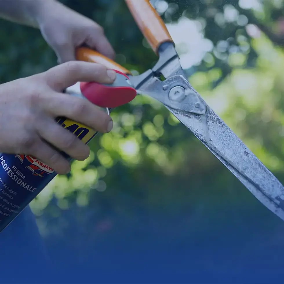 Miniatura: WD-40 Sistema Professionale in uso su cesoie da giardinaggio