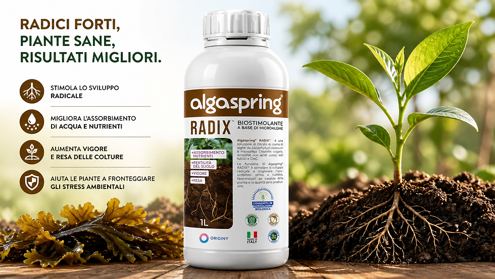 Algaspring Radix è un biostimolante radicale pensato per favorire lo sviluppo dell’apparato radicale