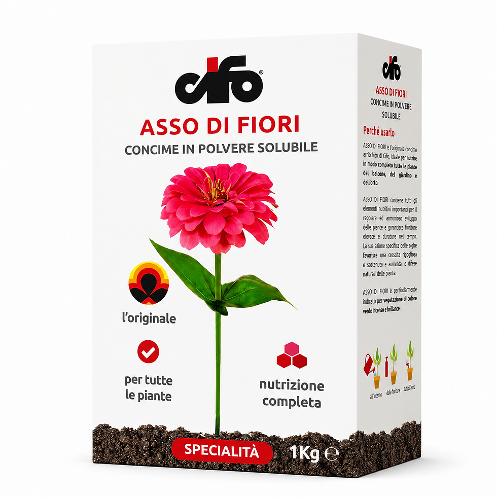 CIFO Asso di Fiori 1 kg concime in polvere solubile per piante verdi fiori ortaggi prato e frutticole