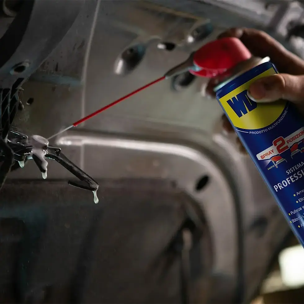 Miniatura: WD-40 Sistema Professionale in uso su meccanismo metallico dell’auto