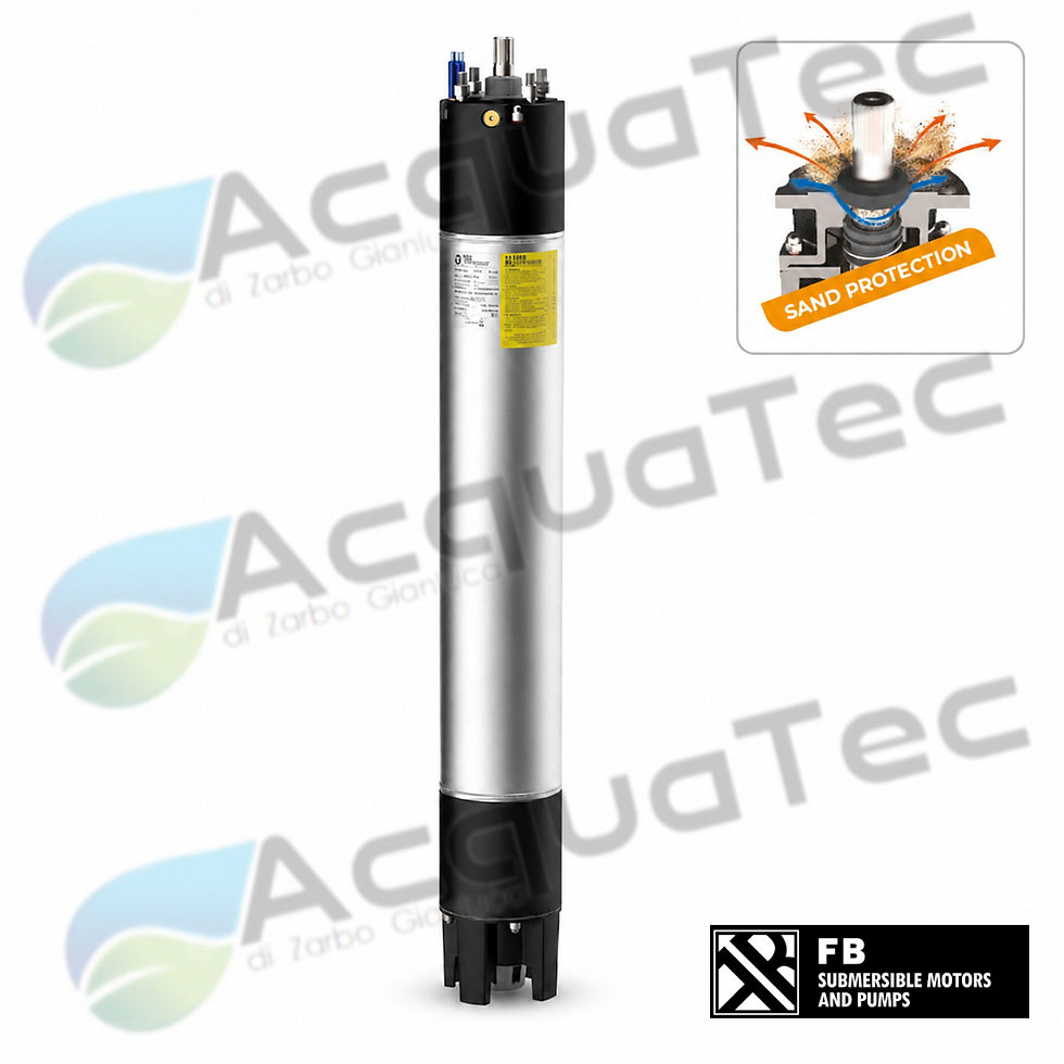 Motore Sommerso F.B Serie 6F50 6” 50 HP 37 kW per Pompe Sommerse da Pozzo