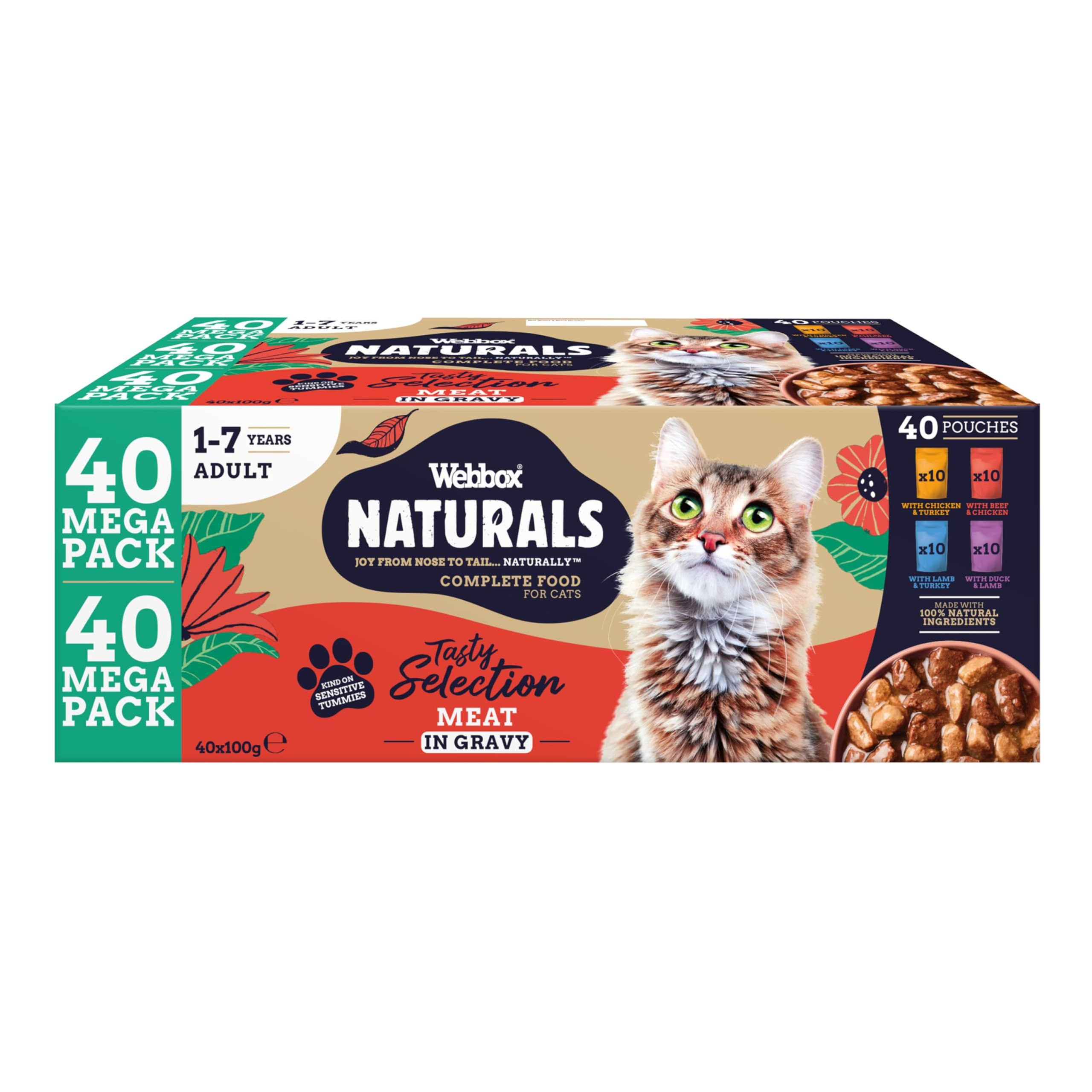 Webbox Natural Cat Food 40x100g