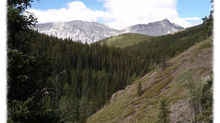 Strawberry Hills - Kananaskis Country