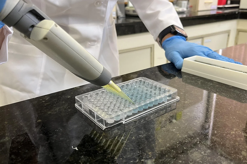Pesquisa sobre exame de sangue para detectar sinais de Alzheimer busca voluntários na Zona Sul