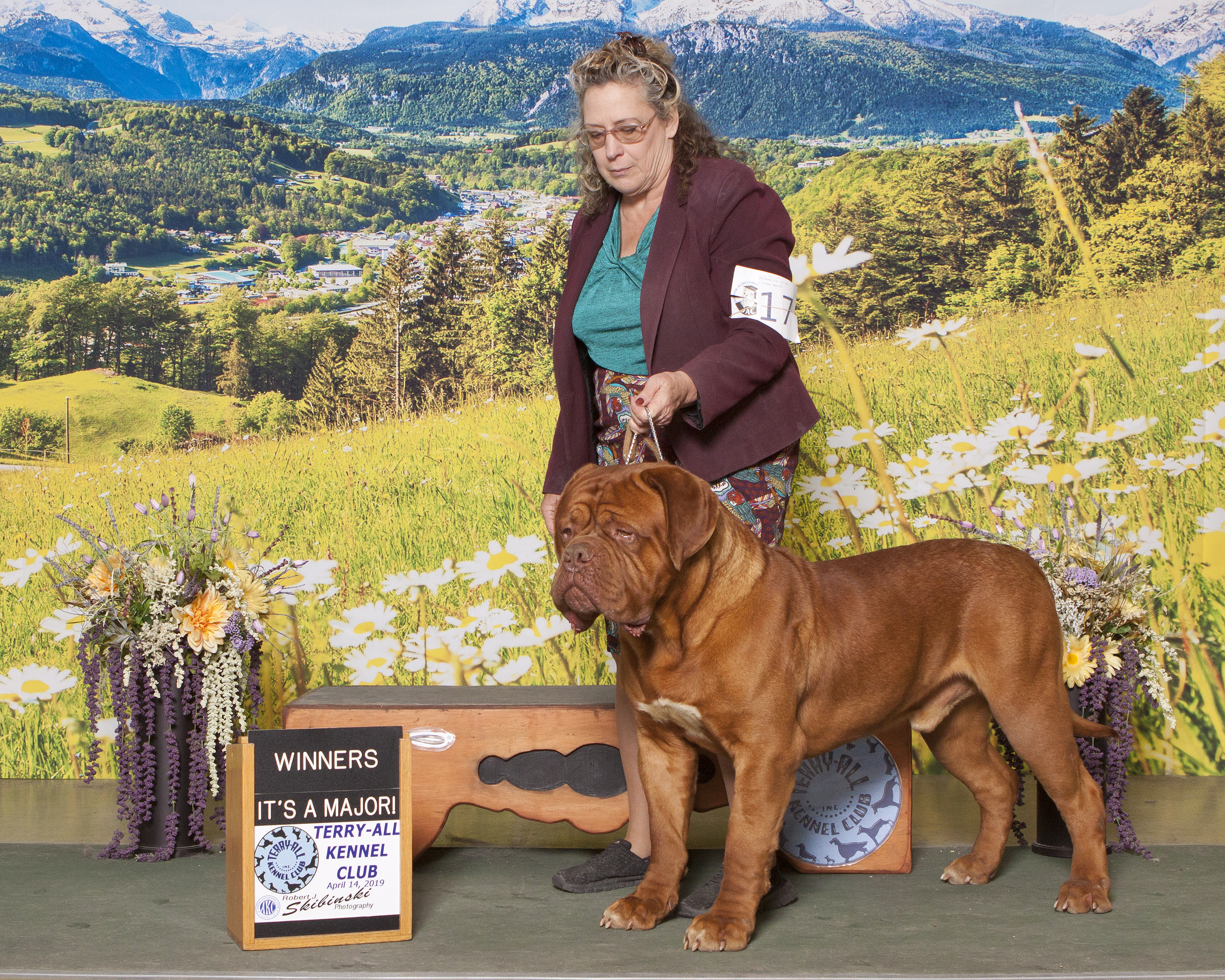 Blue Diamond Dogue De Bordeaux 2024 leadctr