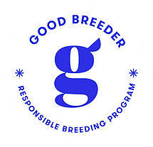 GoodDog