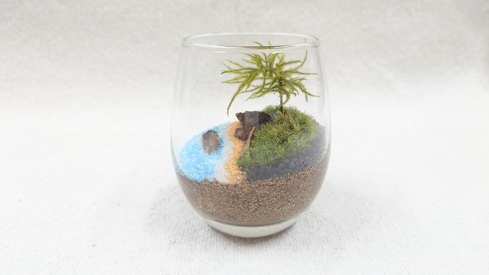 サムネイル： 海の風景が作れる自作キット