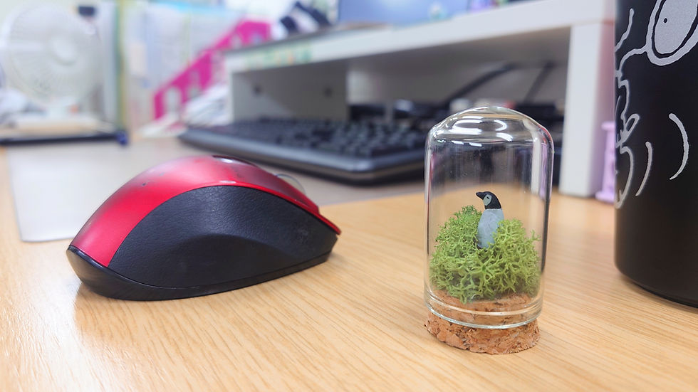 サムネイル： プリ苔ドーム　きつね