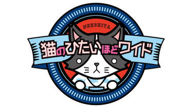 神奈川テレビ「猫のひたいほどワイド」で紹介していただきました！