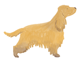 Mel copy.png