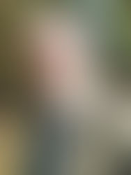 Mikael Enckellin muistokirjoitus