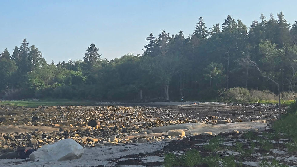 Narrows Tavern- Waldoboro