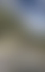 🤘🏽 This Is So Punk Rock!