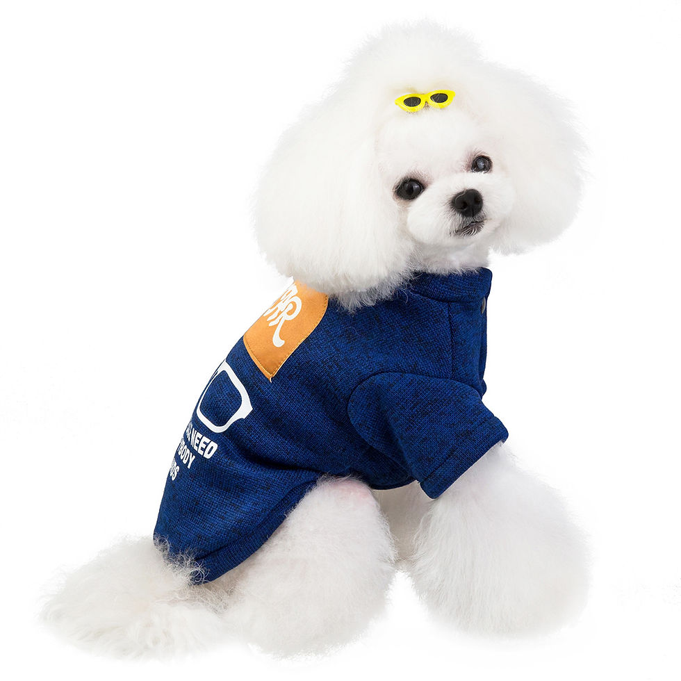 Thumbnail: Pet Cat and Dog Apparel - Teddy Sweater and Accessories