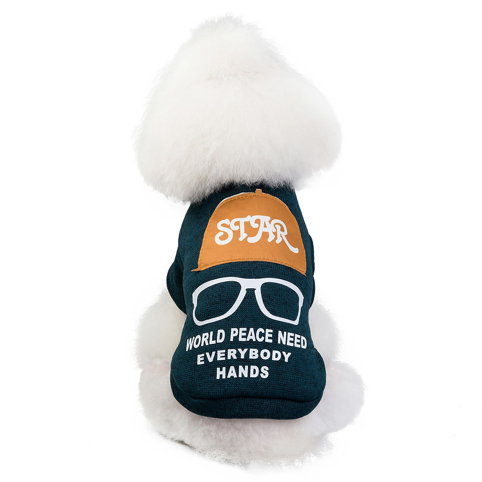 Thumbnail: Pet Cat and Dog Apparel - Teddy Sweater and Accessories