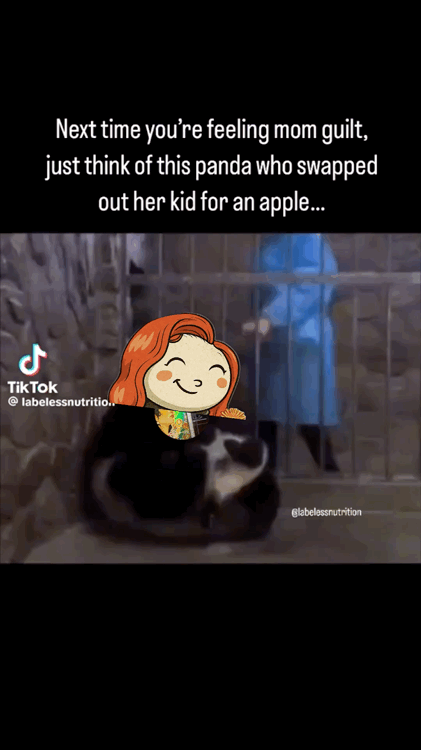 VideoToGif_GIF 2.GIF