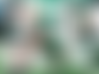 Eagles vs Jets Preseason Week 3 Recap