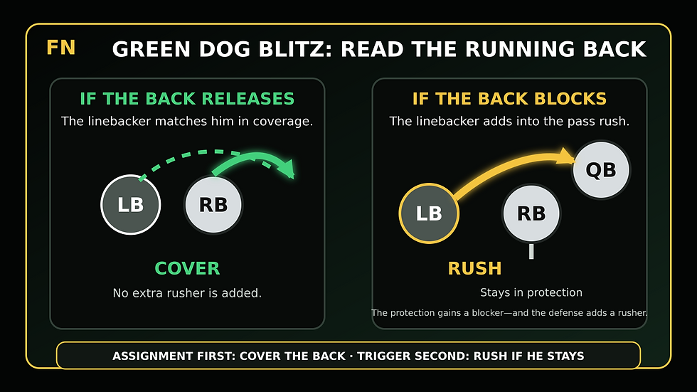 Football Nation diagram showing a linebacker covering a releasing running back or blitzing when the back stays to block.