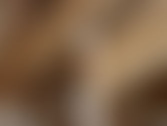 木組みとは何か?――100年先を見据えた、職人の知恵と技