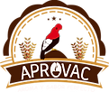 LOGO ORIGINAL (3).png