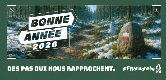 Bonne année 2026.gif