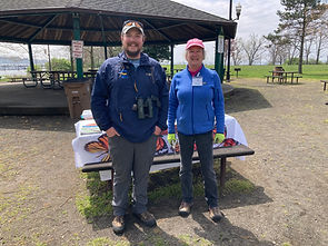 Aster, Backyard, Bee, Metallic Green Bee (Agapostemon genus) 5W0A9994-Edit_September 01, 2