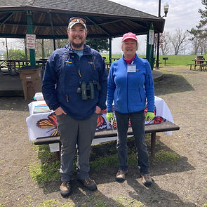 Aster, Backyard, Bee, Metallic Green Bee